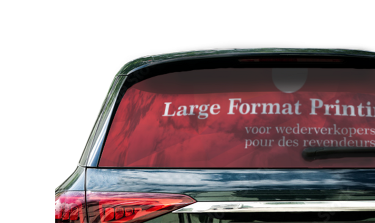 Verkiezingsdrukwerk Geperforeerde Vinyl